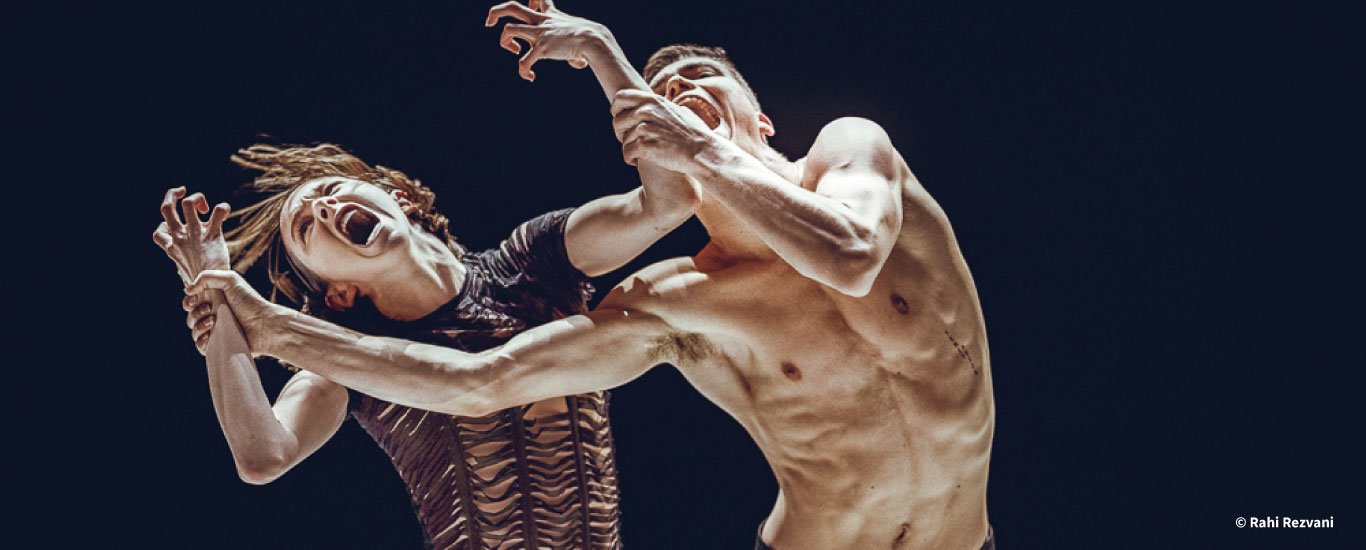 Nederlands Dans Theater (NDT 2)