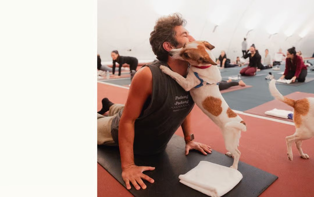 Patili Dostlarla Yoga (Paws & Poses)