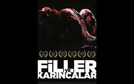 Filler Ve Karıncalar